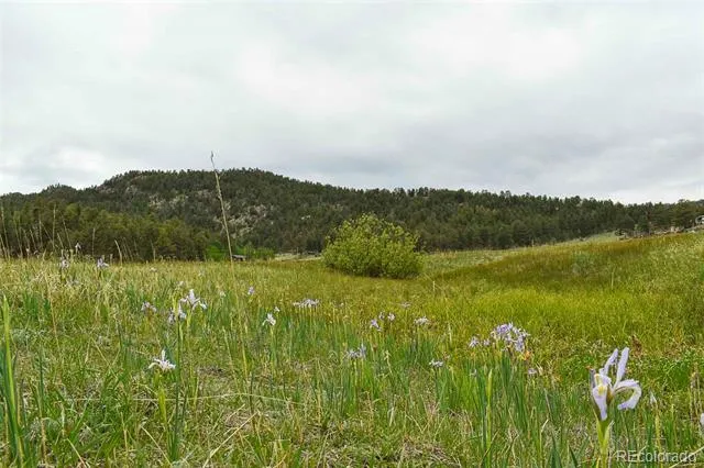 729 Valley Drive Guffey, CO 80820