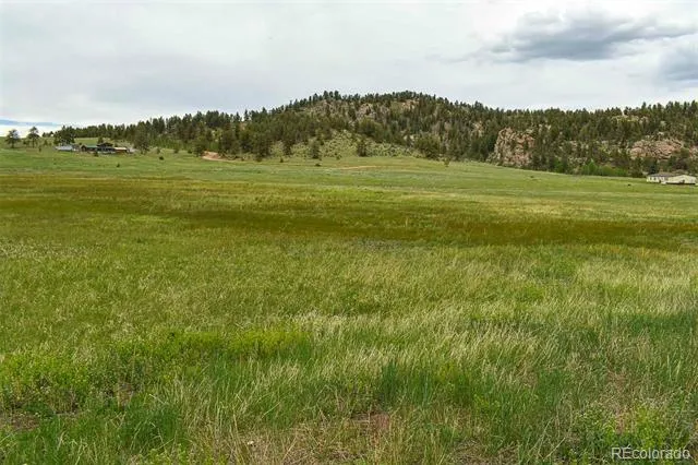 729 Valley Drive Guffey, CO 80820