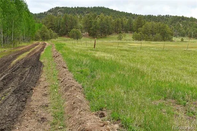729 Valley Drive Guffey, CO 80820