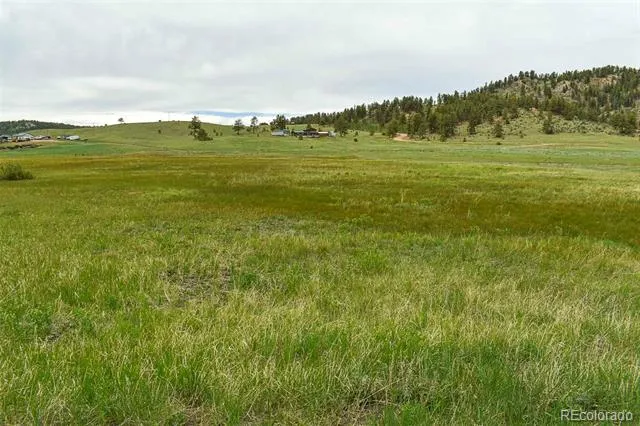 729 Valley Drive Guffey, CO 80820