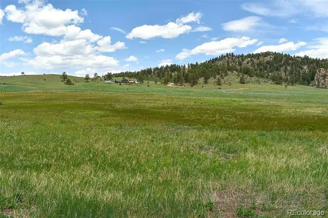 729 Valley Drive Guffey, CO 80820
