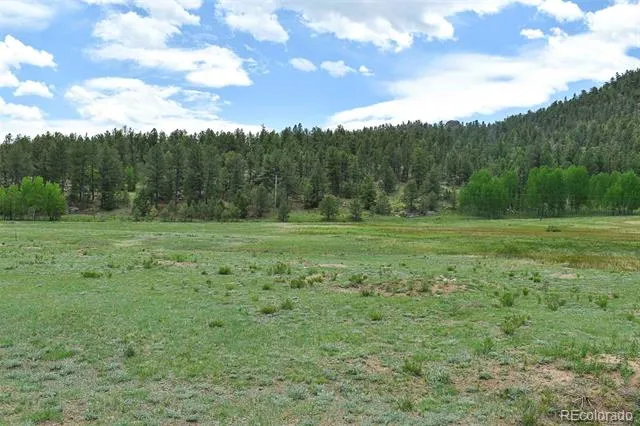 729 Valley Drive Guffey, CO 80820