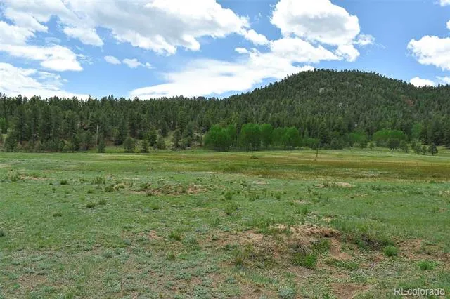 729 Valley Drive Guffey, CO 80820