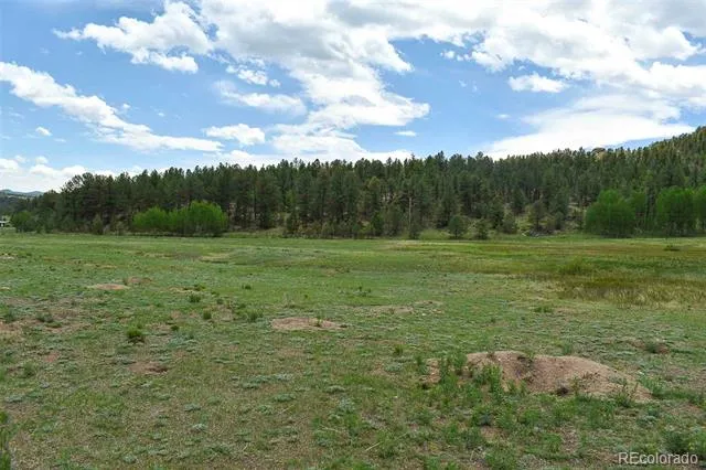 729 Valley Drive Guffey, CO 80820