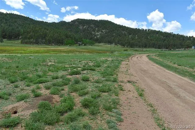 729 Valley Drive Guffey, CO 80820