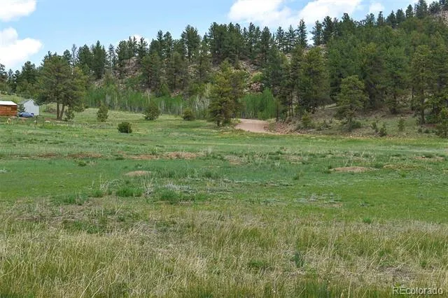 729 Valley Drive Guffey, CO 80820
