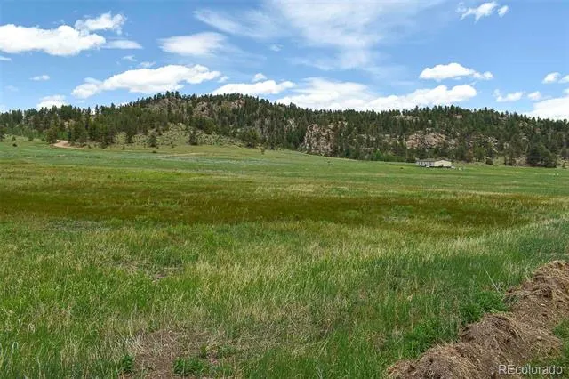 729 Valley Drive Guffey, CO 80820