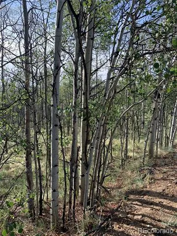 540 Vulture Lane Como, CO 80432