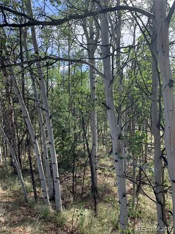540 Vulture Lane Como, CO 80432