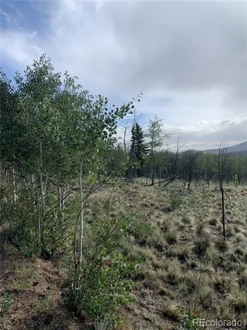 540 Vulture Lane Como, CO 80432