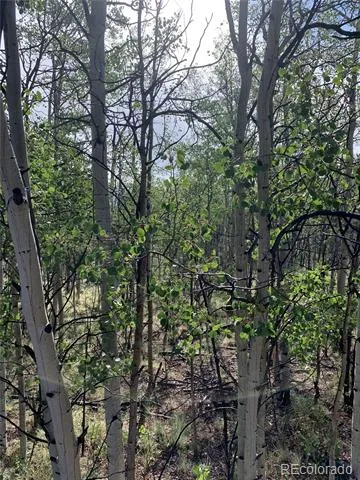 540 Vulture Lane Como, CO 80432