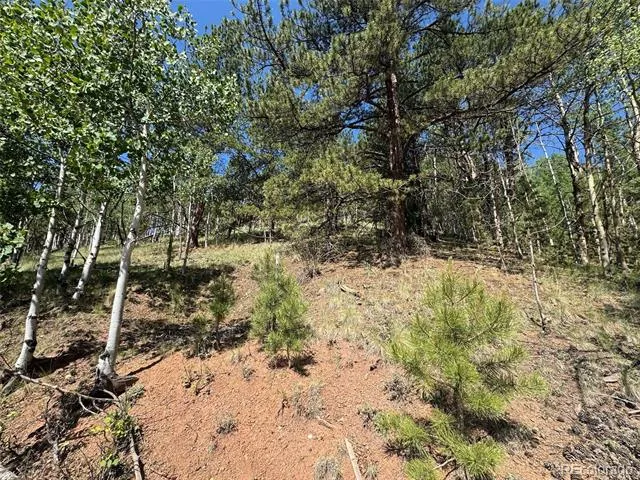 Address Not Shown Divide, CO 80814