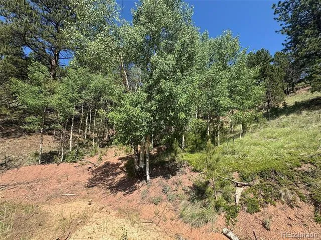 Address Not Shown Divide, CO 80814