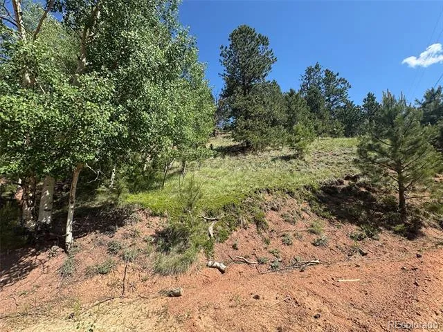 Address Not Shown Divide, CO 80814