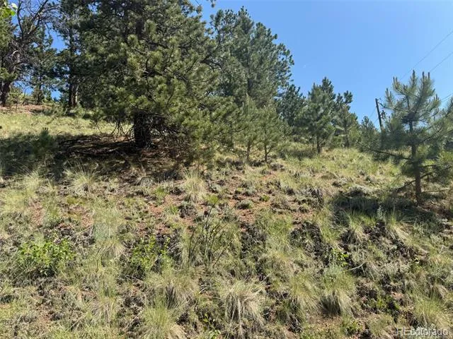 Address Not Shown Divide, CO 80814