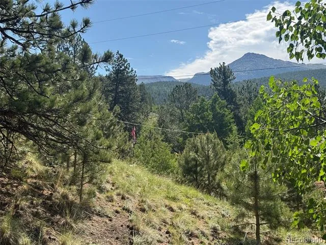 Address Not Shown Divide, CO 80814