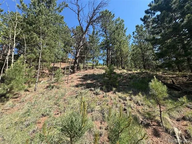 Address Not Shown Divide, CO 80814