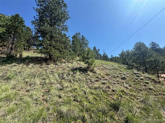 Address Not Shown Divide, CO 80814