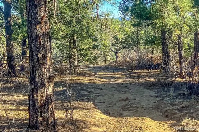 13240 Big Pine Ridge Road Weston, CO 81091