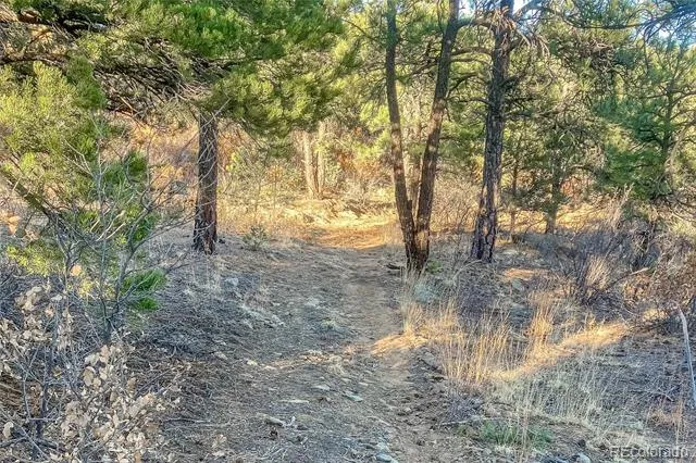 13240 Big Pine Ridge Road Weston, CO 81091