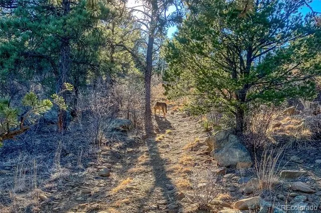 13240 Big Pine Ridge Road Weston, CO 81091
