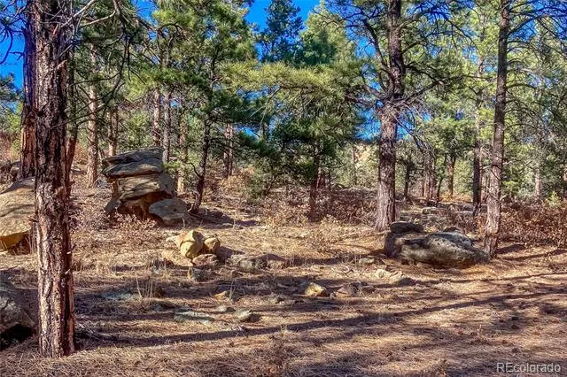 13240 Big Pine Ridge Road Weston, CO 81091