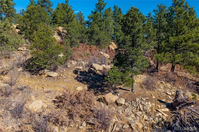 13240 Big Pine Ridge Road Weston, CO 81091