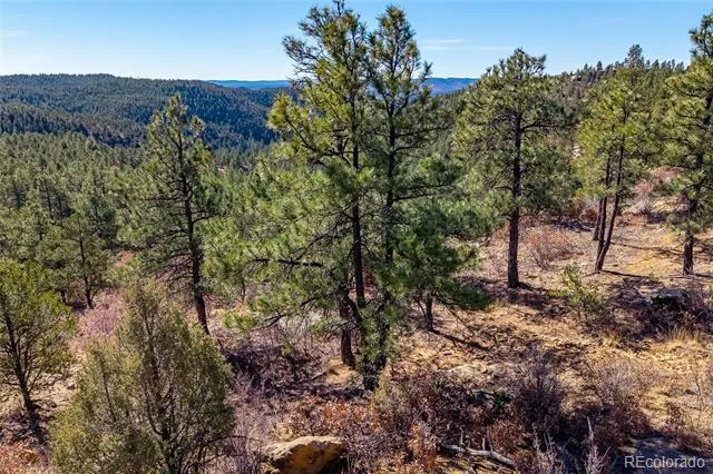 13240 Big Pine Ridge Road Weston, CO 81091