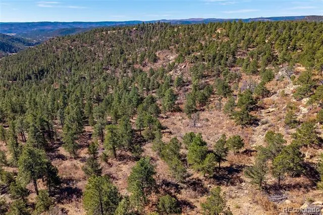 13240 Big Pine Ridge Road Weston, CO 81091