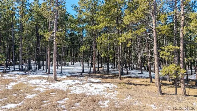 10775 Hardy Road Colorado Springs, CO 80908
