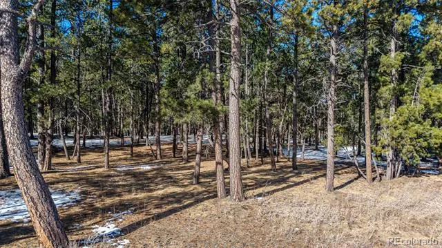 10775 Hardy Road Colorado Springs, CO 80908
