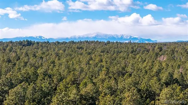 10775 Hardy Road Colorado Springs, CO 80908