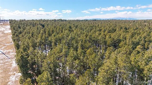 10775 Hardy Road Colorado Springs, CO 80908