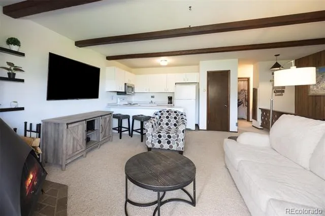130 Evergreen Road #301 Dillon, CO 80435