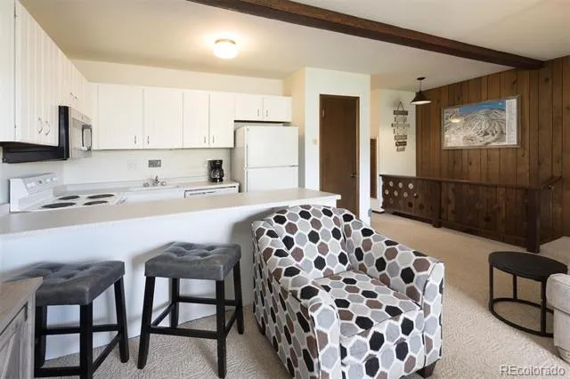 130 Evergreen Road #301 Dillon, CO 80435
