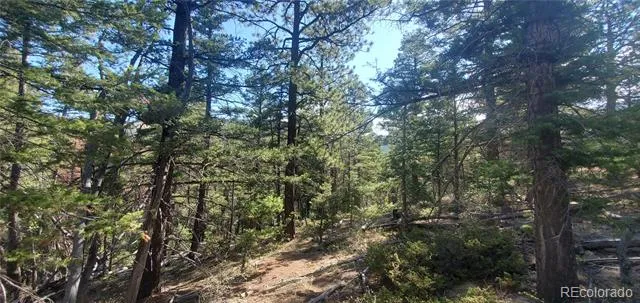 Lot 5273 Vivian Road Fort Garland, CO 81133