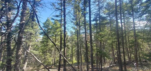 Lot 5273 Vivian Road Fort Garland, CO 81133