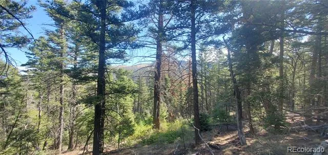 Lot 5273 Vivian Road Fort Garland, CO 81133