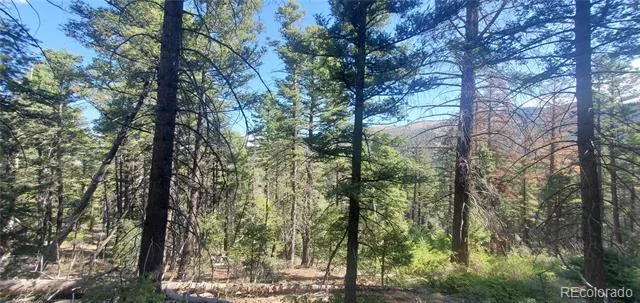 Lot 5273 Vivian Road Fort Garland, CO 81133