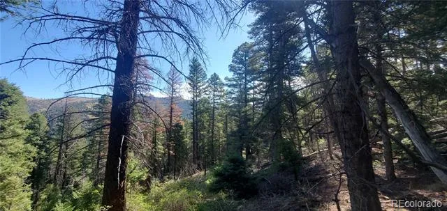 Lot 5273 Vivian Road Fort Garland, CO 81133