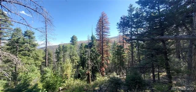 Lot 5273 Vivian Road Fort Garland, CO 81133