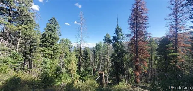 Lot 5273 Vivian Road Fort Garland, CO 81133