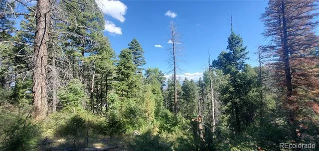 Lot 5273 Vivian Road Fort Garland, CO 81133