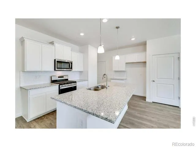 1002 Annelles Pool Lane Severance, CO 80550