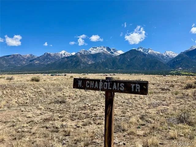 380 Charolais Trail Crestone, CO 81131
