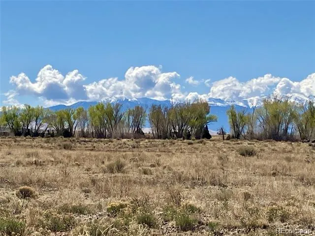 380 Charolais Trail Crestone, CO 81131