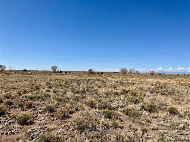 380 Charolais Trail Crestone, CO 81131