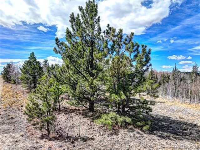 101 Patch Court Como, CO 80432