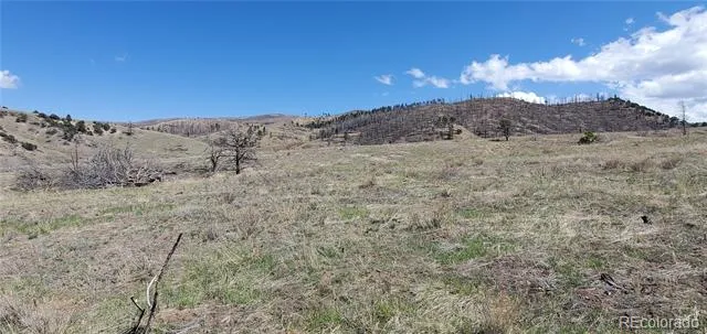 Address Not Shown Fort Garland, CO 81133