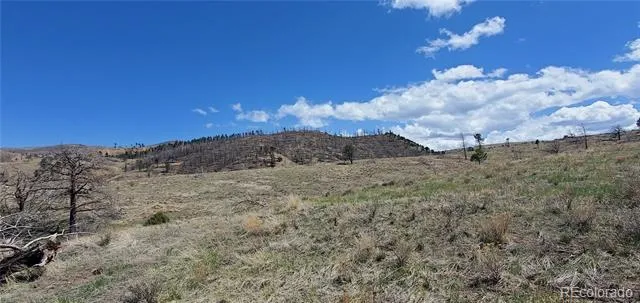 Address Not Shown Fort Garland, CO 81133